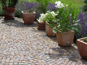 Mediterrane Anspielung